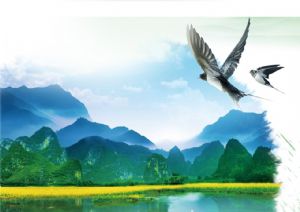 聚焦高考——綠水青山，我們押中了！