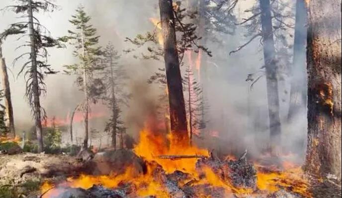 aca05ceb4deca8f268c0035e83a427ee.jpg 003.jpg