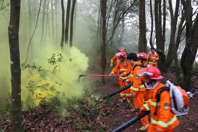 1901e2df4306aadfb7deef61ecf2e886.jpeg 003.jpeg