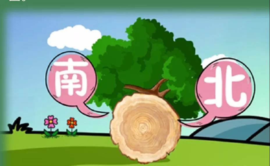 森林“迷路”脫險(xiǎn)自救寶典