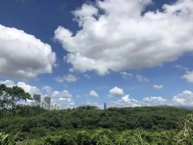 1e0b8b7f6bdee59c6e9436170519a431.jpg 06.jpg