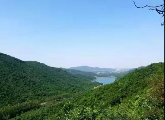 筑牢“防火墻” 守護生態屏障——中山啟用森林智能哨衛系統