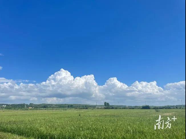 976bc73f11a1df5ddc0200f097a9aa2d.jpg 002.jpg