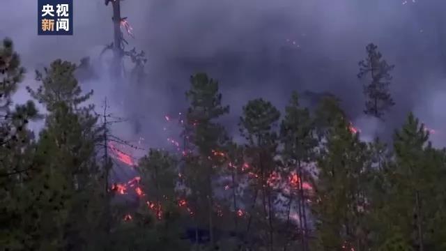 31a131ca0c630df6231034ba6729bf21.jpg 003.jpg