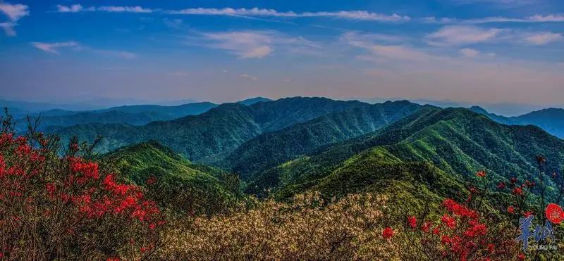 6d0870cfd0542a6d607fb4ce94aa574d.jpg 003.jpg