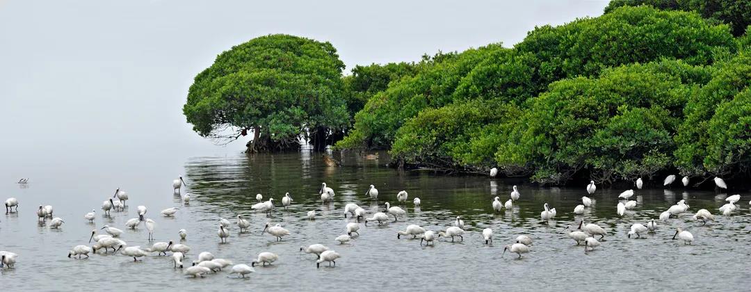 46ee22ea7554bb6ce115d6660ad7efe8.jpg 005.jpg