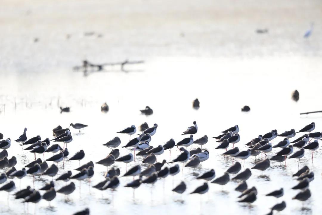 c59b39dd63adb90b2d7f0fc567634f41.jpg 002.jpg