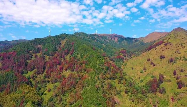 89f65177b1d53f5bdd65efed84503fa6.jpg 004.jpg