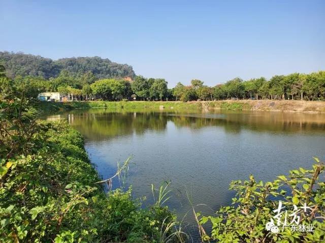 53d0120ed63640938ab85c8ba6b51e2a.jpg 002.jpg