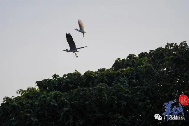 d19decdff5dcaf0a2631ec907939a260.jpg 008.jpg