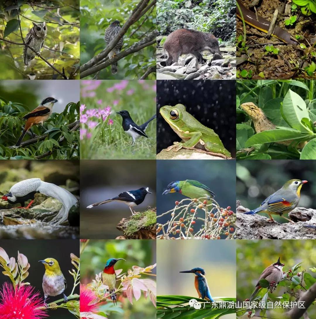 d2cd3f2bff0ba3500219aedd211a3ee3.jpg 005.jpg