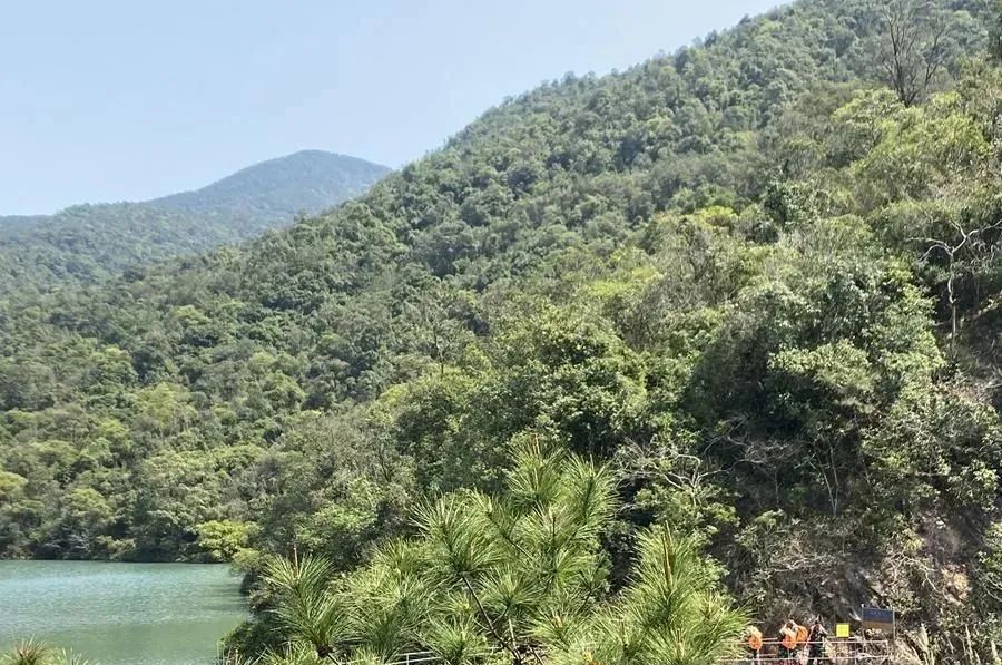 3584483098b57c5ff671c2af5c7b7223.jpg 006.jpg