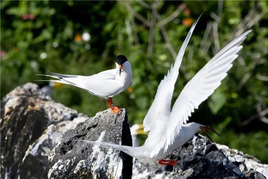 e8a56a90eed8dd952b2271b99287de71.jpg 004.jpg