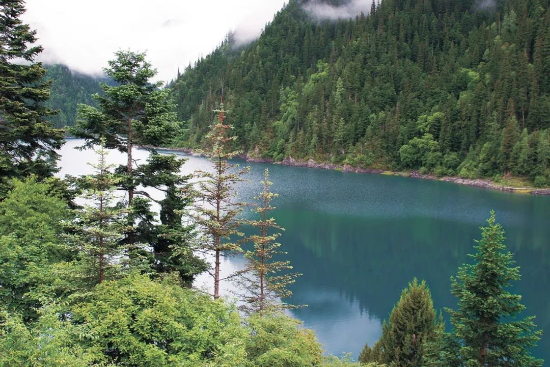 3d5a9e9b0a23ac94a64c4b6016f23979.jpg 004.jpg