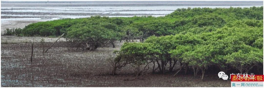 251cf28c47fc484de6db14818f335cc1.jpg 002.jpg