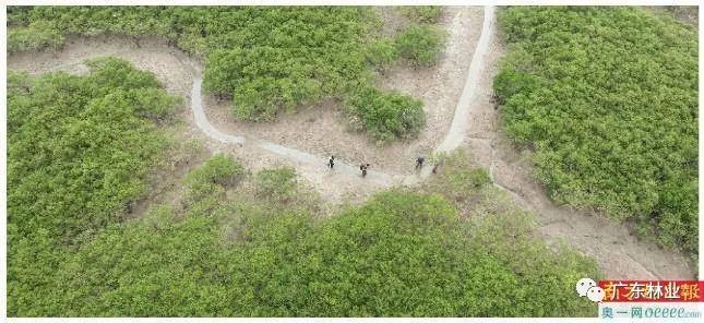 8381a5f55ab4d559fc6f86f142476153.jpg 001.jpg