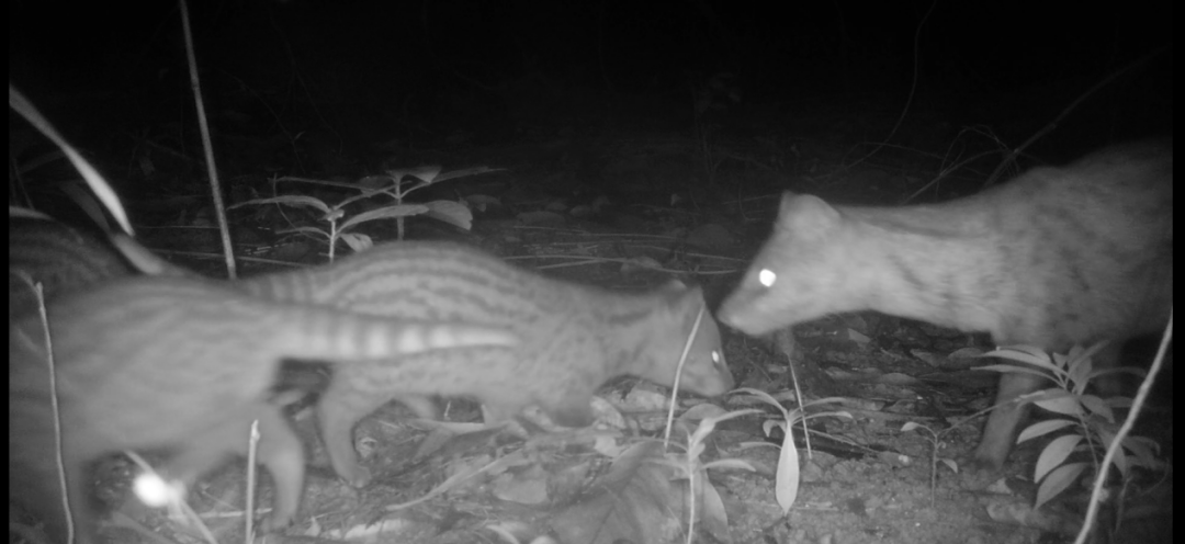 bdf625cc57596e7bfbb9109ec5a6baae.png 001.png