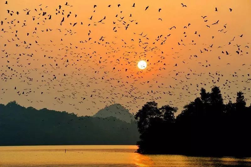 3fec2f0643cef731b5ae56172f55ff91.jpg 006.jpg