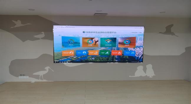 cb56cb98d81dff6c784ec626452fdc39.png 002.png